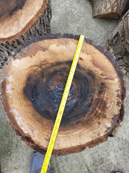 Butuci din lemn de nuc - 12 buc, arbore matur(29 de ani), tăiat recent