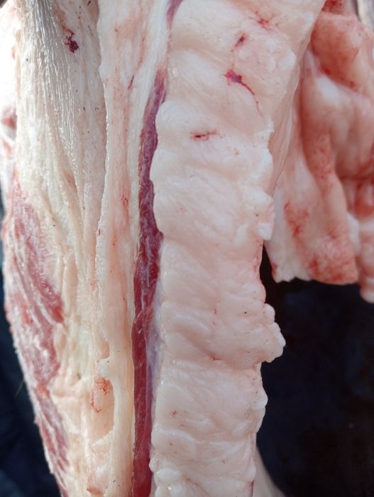 Согым. Конина. Мясо.