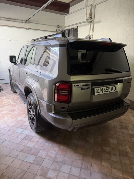 Len Kruzer Prado 250