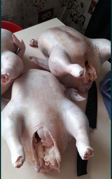 Продам мясо бройлеров