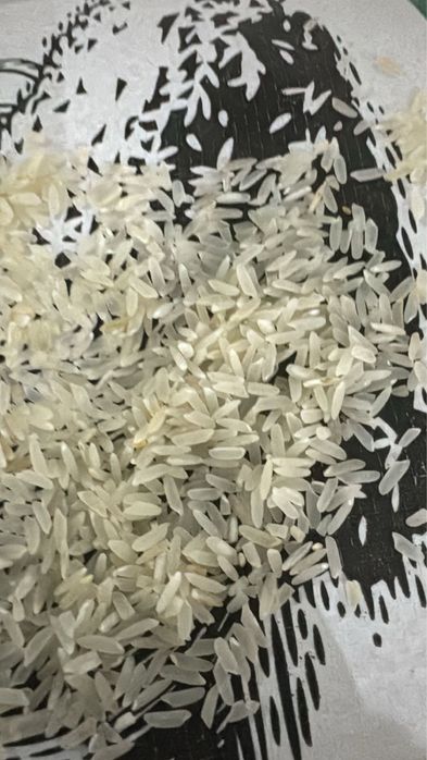 Рис Лазер Казахстан