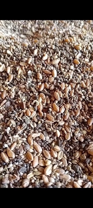 Отходы полова Отходы овёс