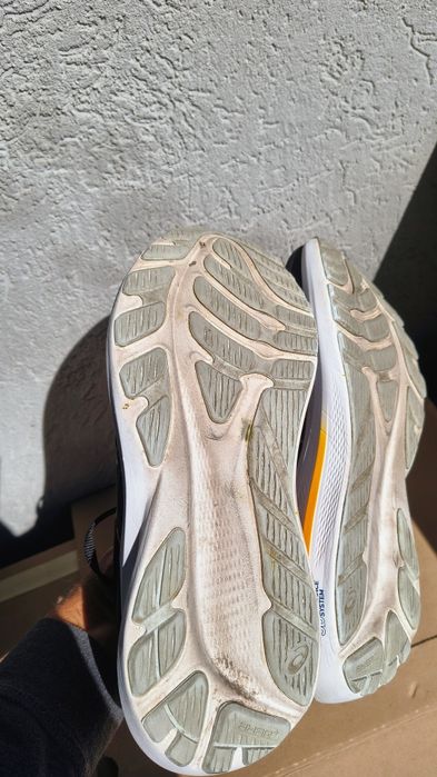 Asics GT-2000 12 (42)