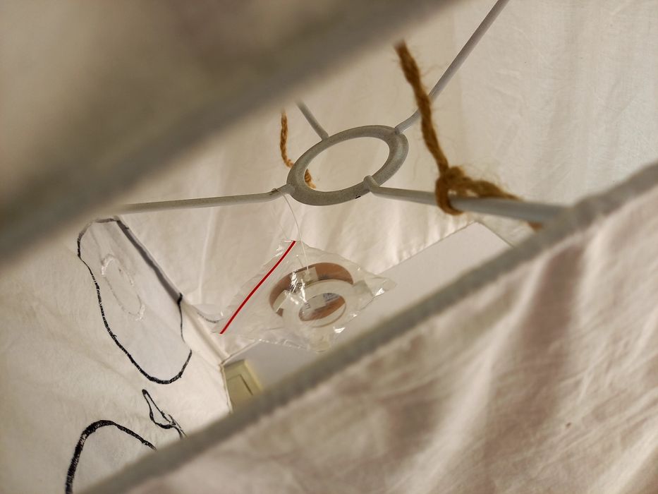 Полилей внос Англия