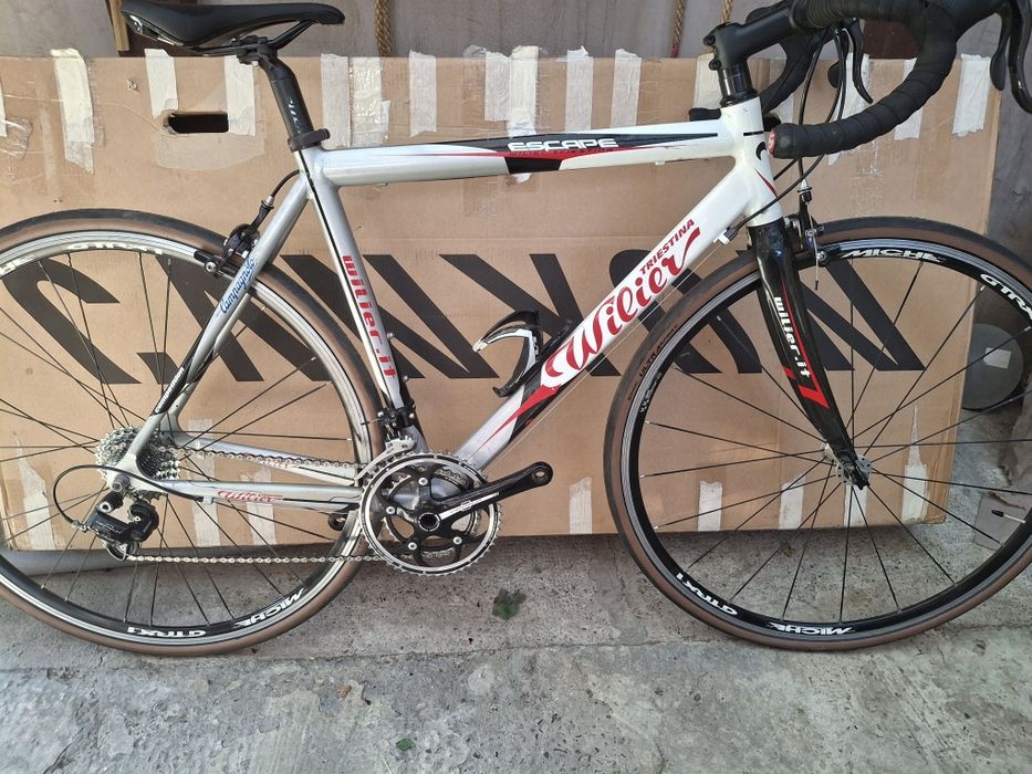 Cursiera wilier triestina
