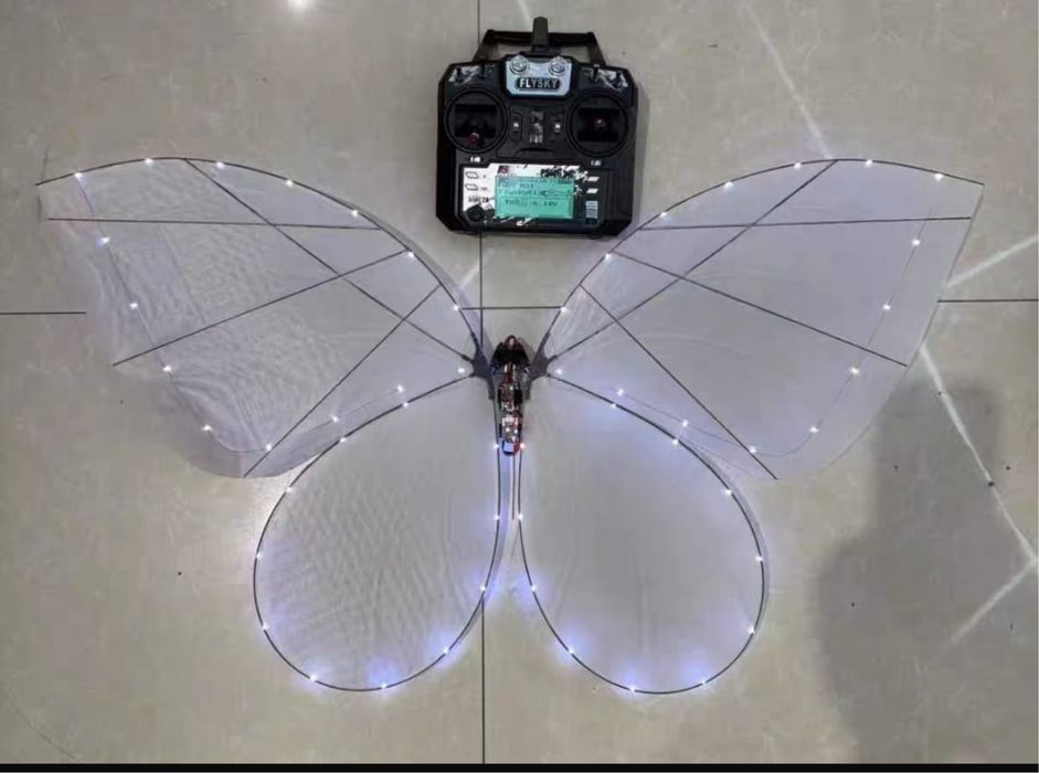 Хит бабочка 2026