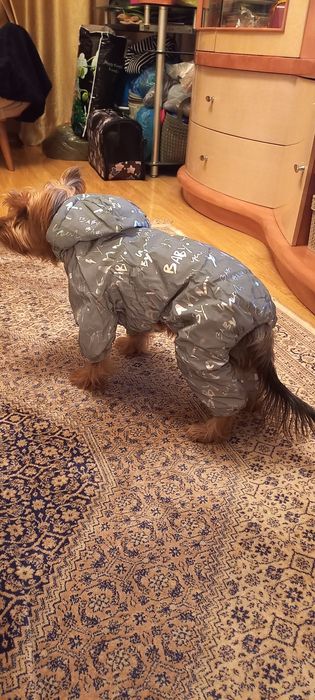 Куртка для собаки