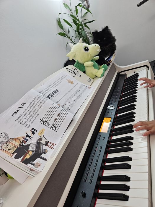 Meditații Pian Sector 6