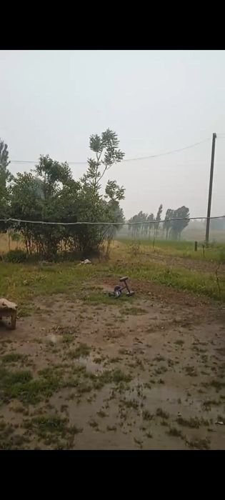 Dalahovli qilish niyatida bôlganlar uchun keng maydonli yer