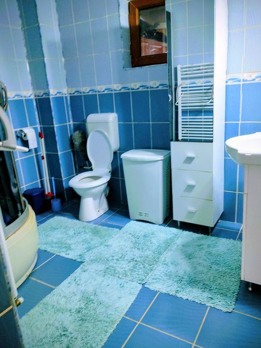 Casă de vînzare Malu Mare