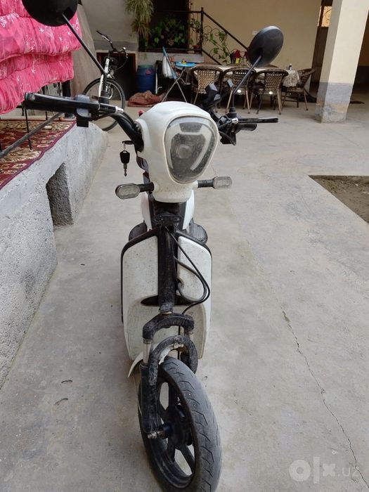Scooter Bogo economy