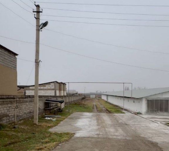 Продаётся птицеферма