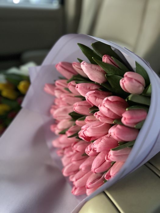 Открыт предзаказ тюльпанов