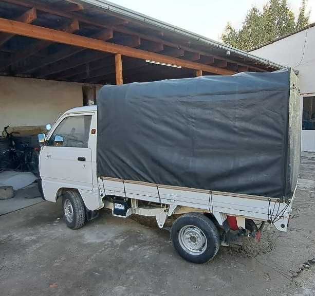 kareyski tent laboga