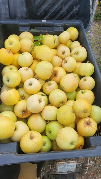 Крестьянское хозяйство 2.2 га