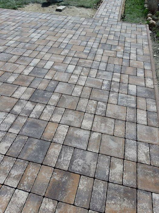 Echipă de meseriași montatori pavaje si construcții