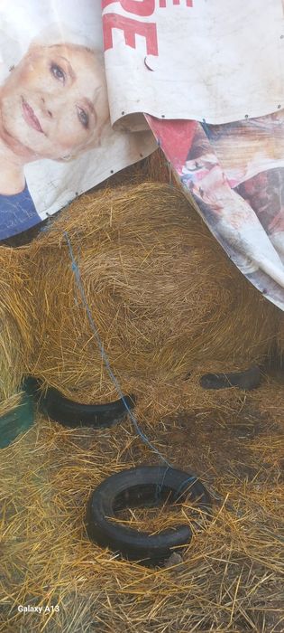 Baloti mari de FAN 180/120 mărime