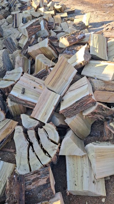 Lemne de foc salcâm