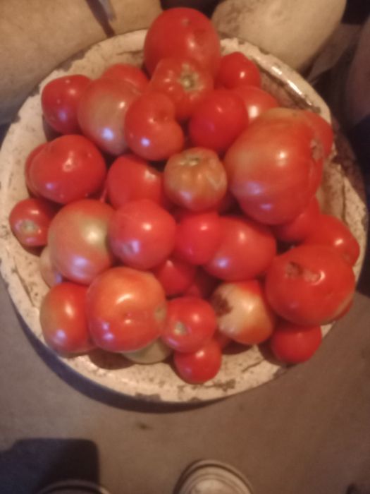 Продам домашние помидоры