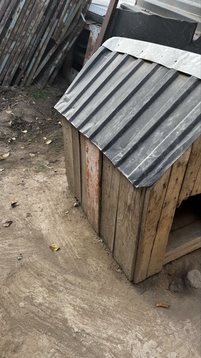 Будка домик для собак