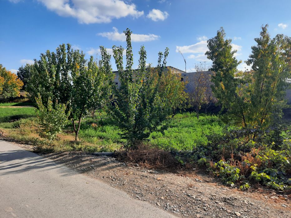 Тез ва зудликда Ховли куриш учун буш ер сотилади.