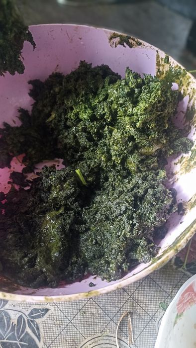 крапива (сок этого года )