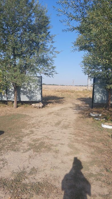 земельный участок