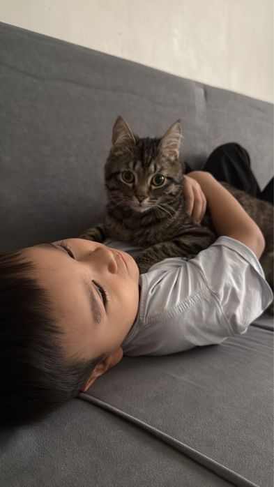 Кошка маленькая отдам бесплатно