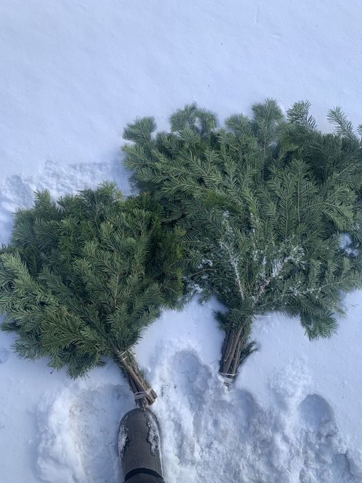Продаю пихтовые веники!!!