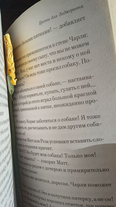 Книга «Цветы для Элджернона» — Дэниел Киз