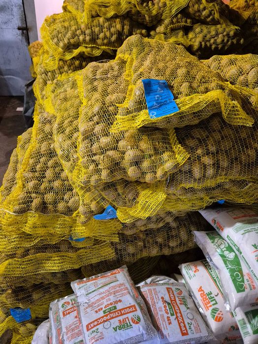 Сертифицирано семе картофи.Агата и Сорая. В чували по 10кг.