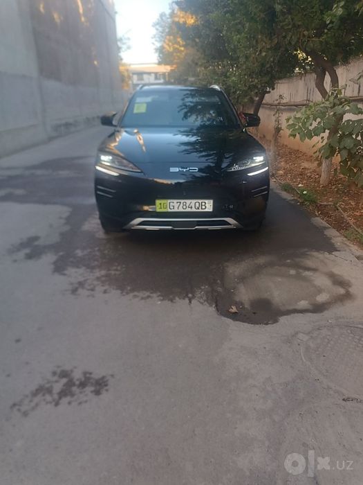 Byd champion ev 550 km
