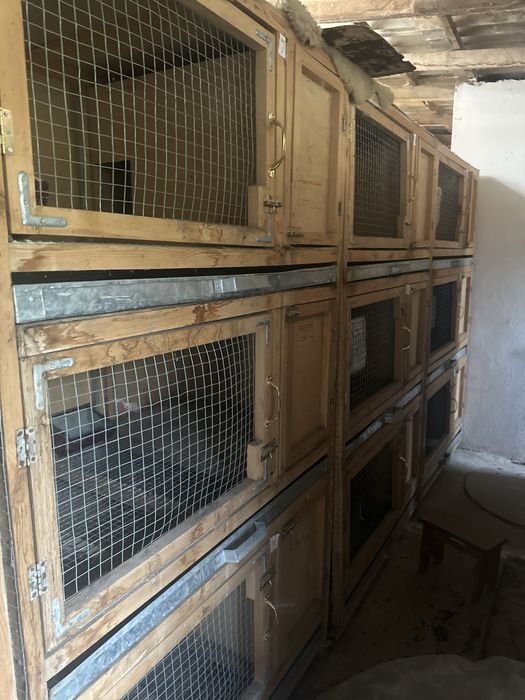 Ассалому алайкум куён кафаслари сотилади манзил чирчик шахрида донаси