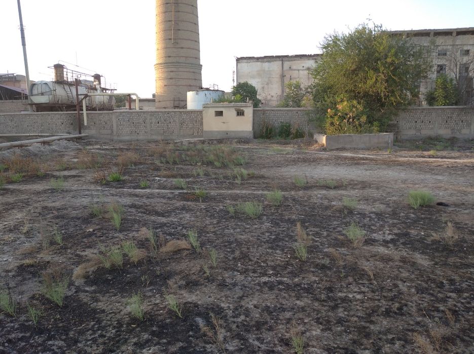 Готовый земля для бизнеса.