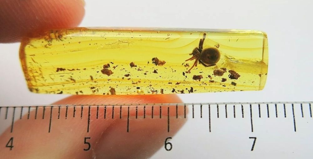 Уникален Балтийски кехлибар с фосил,отлично съхранен паяк Araneae