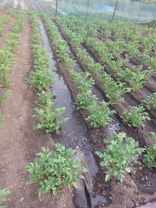 Продам дачный участок