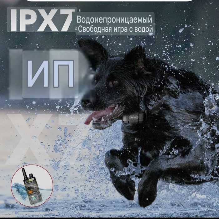 Электронный дрессировочный ошейник для собак