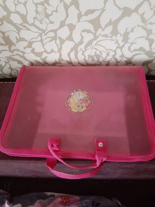 Папка и пенал для девочек с ручками