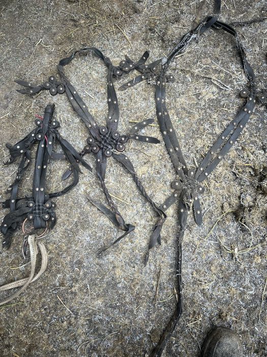 Продам комплект для лошади