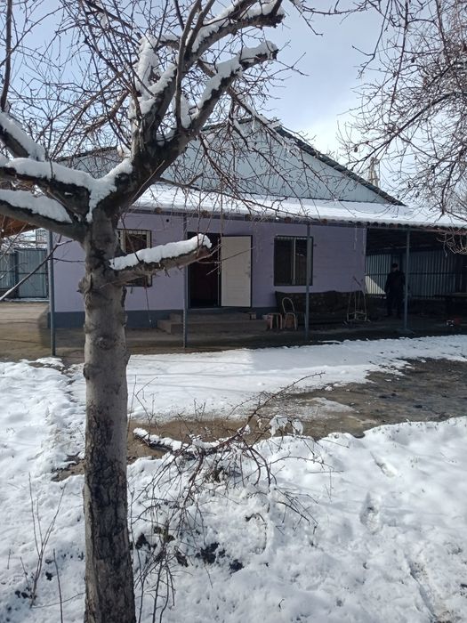 Дача кайнар булак.