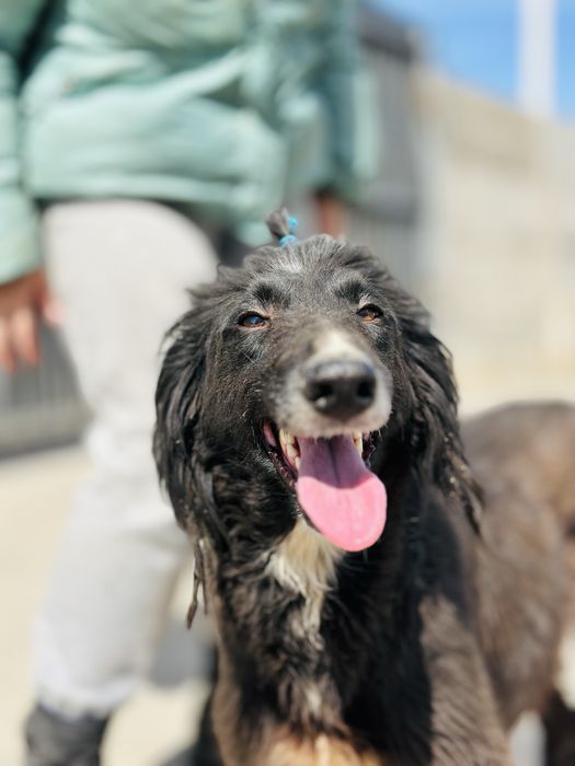 Тазы девочка. Ищет семью