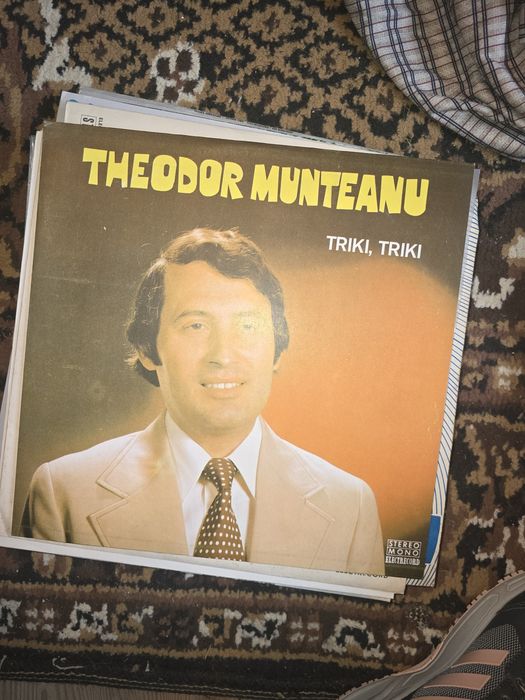 Discuri  de vinil