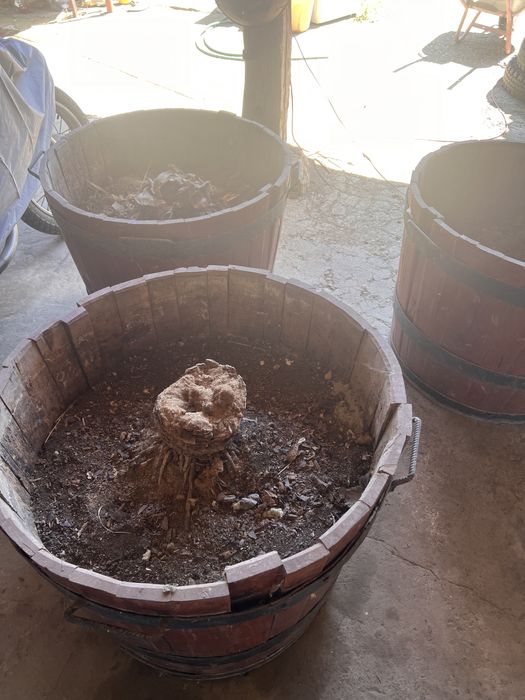 Дървена саксия подходяща за палма