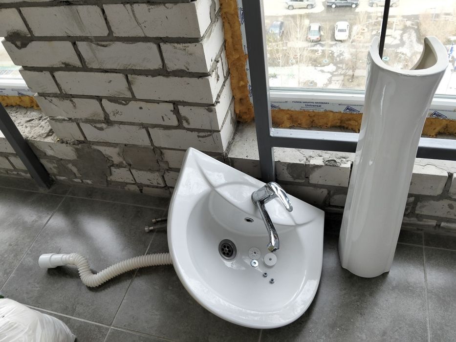 Раковина тюльпан