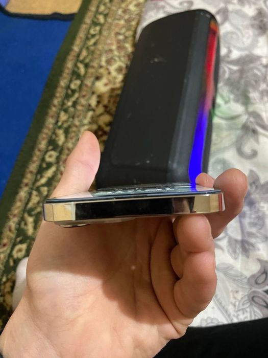 13 про макс сатылады