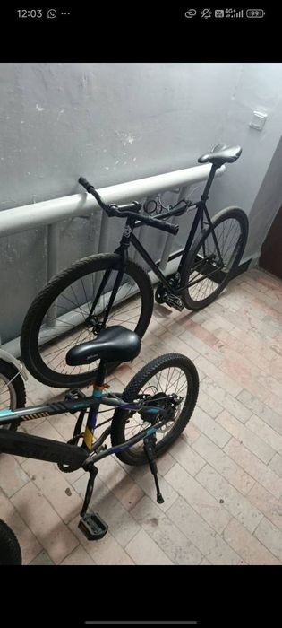 Bear Bike Fixed Gear
