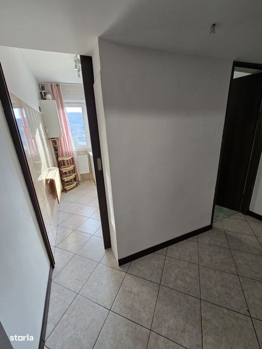 Inchiriere apartament ,Alexandru Cel Bun.Contract Anaf,300 euro
