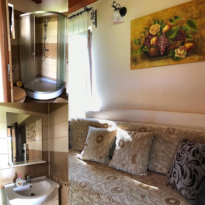 Cabana Livia - Bratca de inchiriat cu lac pentru pescuit