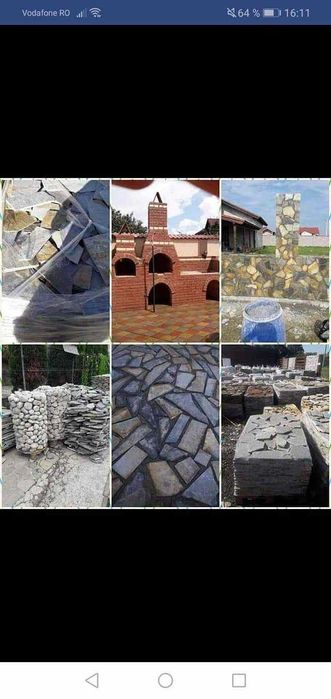 Vând mesteacăn și tei