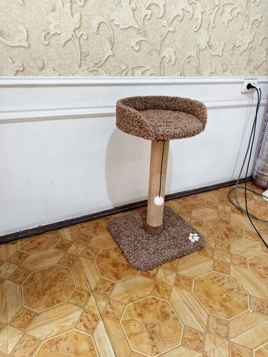 Когтеточка для кошек. Лежанка для кошки. Ассортимент домиков для кошек